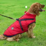 Waterproof Winter Dog Jacket U01