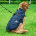 Waterproof Winter Dog Jacket U01