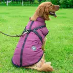 Waterproof Winter Dog Jacket U01