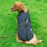 Waterproof Winter Dog Jacket U01