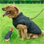 Waterproof Winter Dog Jacket U01