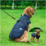 Waterproof Winter Dog Jacket U01