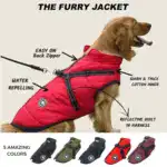 Waterproof Furry Jacket for Dogs of All Sizes
