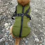 Waterproof Furry Jacket for Dogs of All Sizes