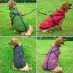 Waterproof Furry Jacket for Dogs of All Sizes