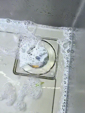 Drain Strainer