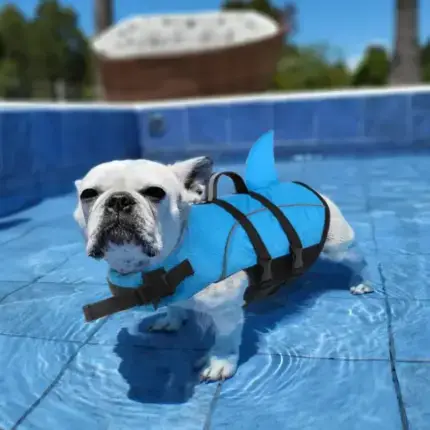 Shark Dog Life Jacket
