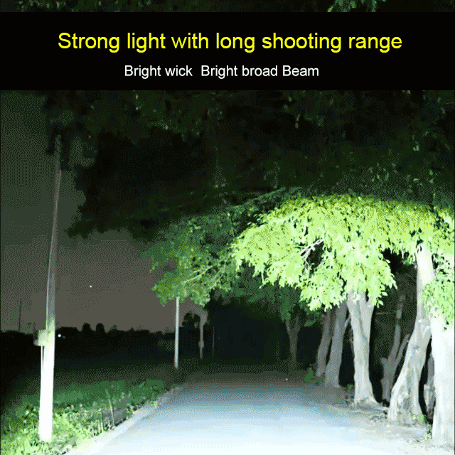 Flashlight Grip and Clip
