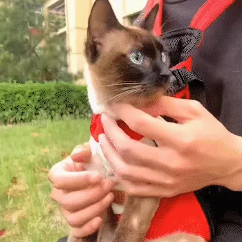Pet Travel Backpack Image 2